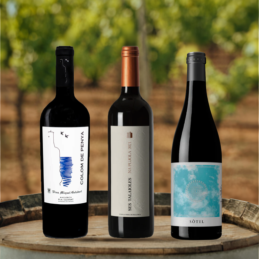 Meisterklasse - Tinto Mallorquin Premium