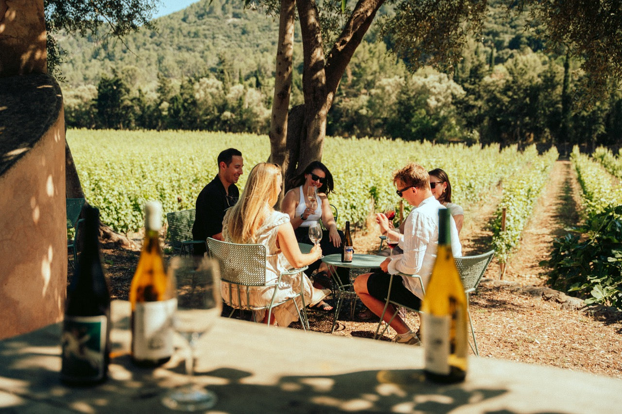 Zehn Begriffe, die du kennen solltest, bevor du eine Flasche Mallorca-Wein kaufst