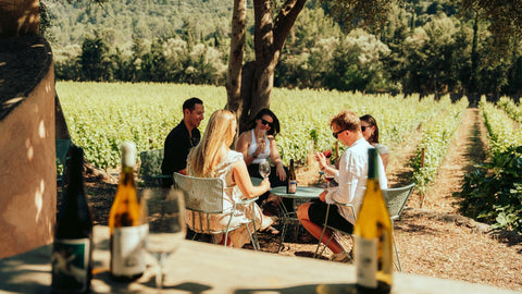 Zehn Begriffe, die du kennen solltest, bevor du eine Flasche Mallorca-Wein kaufst