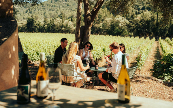 Zehn Begriffe, die du kennen solltest, bevor du eine Flasche Mallorca-Wein kaufst