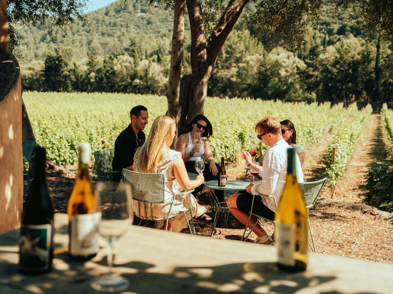 Zehn Begriffe, die du kennen solltest, bevor du eine Flasche Mallorca-Wein kaufst