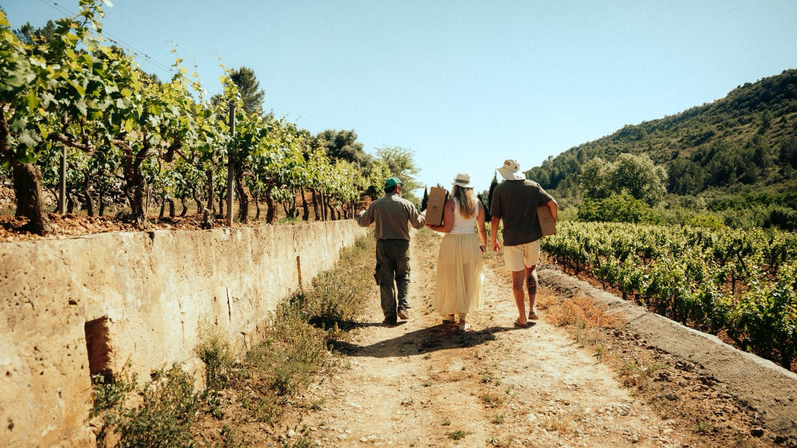 Pla i Llevant: Mallorca's Emerging Wine Region in the East