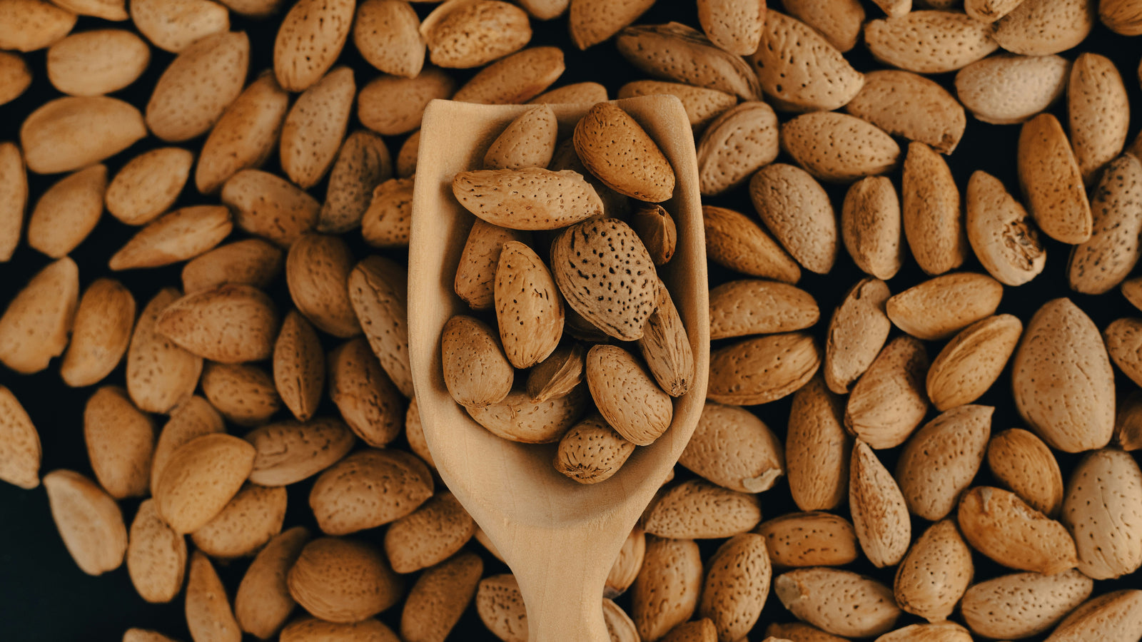 Gató, Coca & Turrón – Discover Mallorcan Almond Pastries