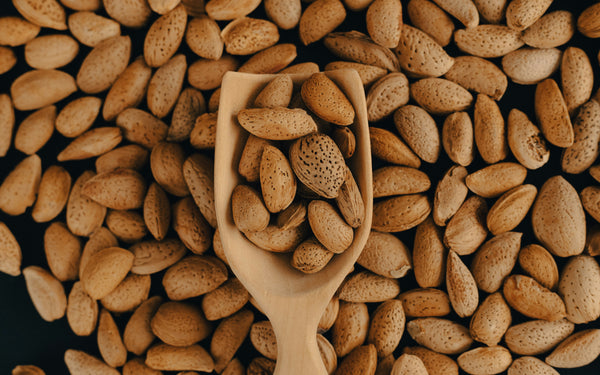 Gató, Coca & Turrón – Mallorquinisches Mandelgebäck entdecken