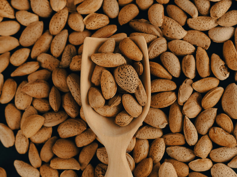 Gató, Coca & Turrón – Discover Mallorcan Almond Pastries