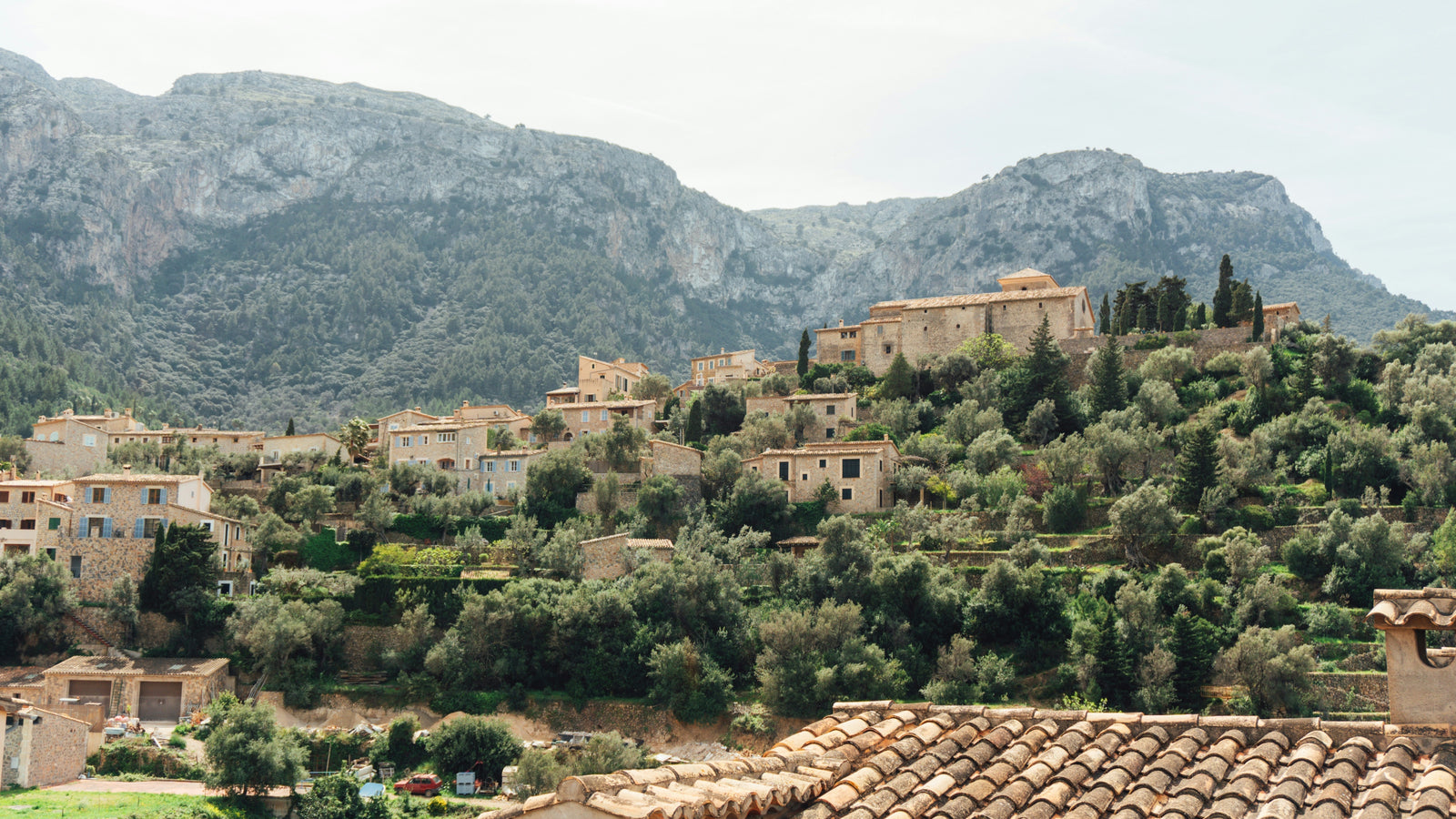 Mallorca Wine: The Ultimate Guide to the Island’s Best Wines