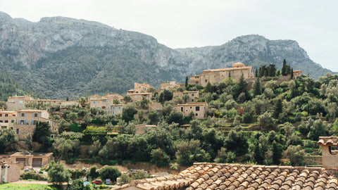 Mallorca Wine: The Ultimate Guide to the Island’s Best Wines