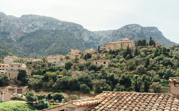 Mallorca Wein: Der ultimative Guide zu den besten Weinen der Insel