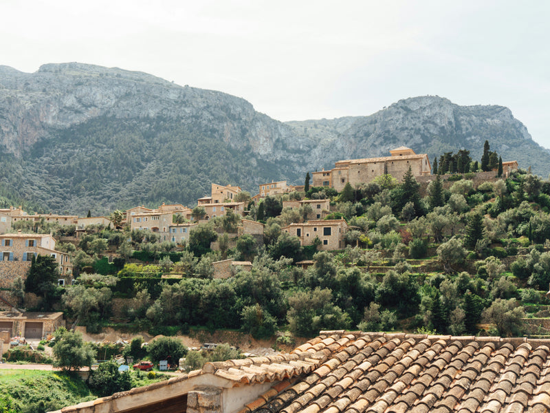 Mallorca Wine: The Ultimate Guide to the Island’s Best Wines
