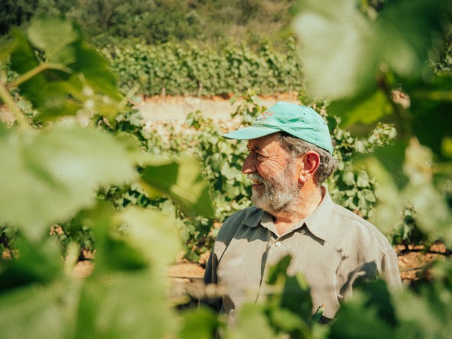 Miquel Gelabert