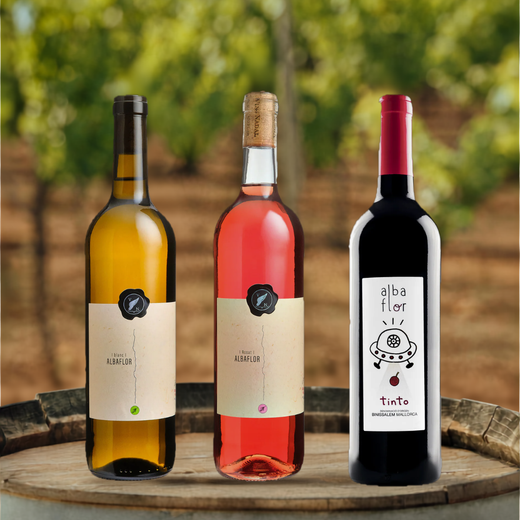 Bodega-Box Vins Nadal – Classic