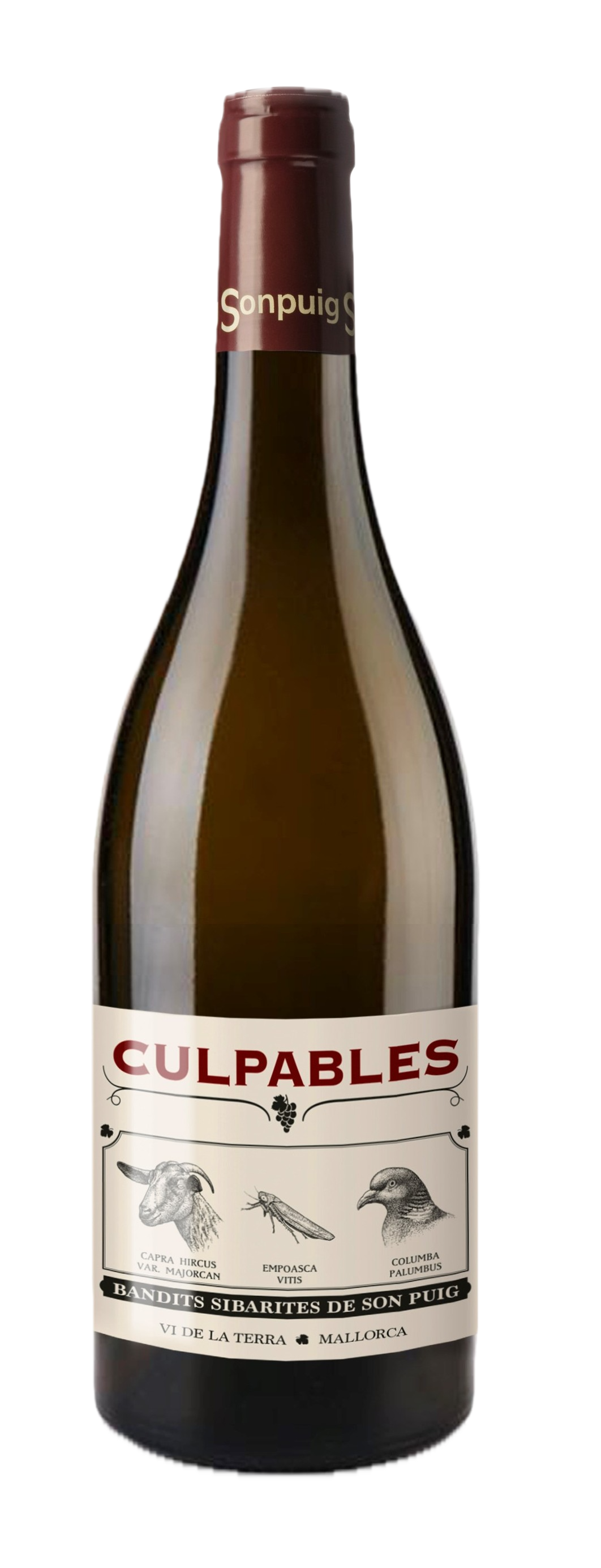 Son Puig Culpables Negre 2025