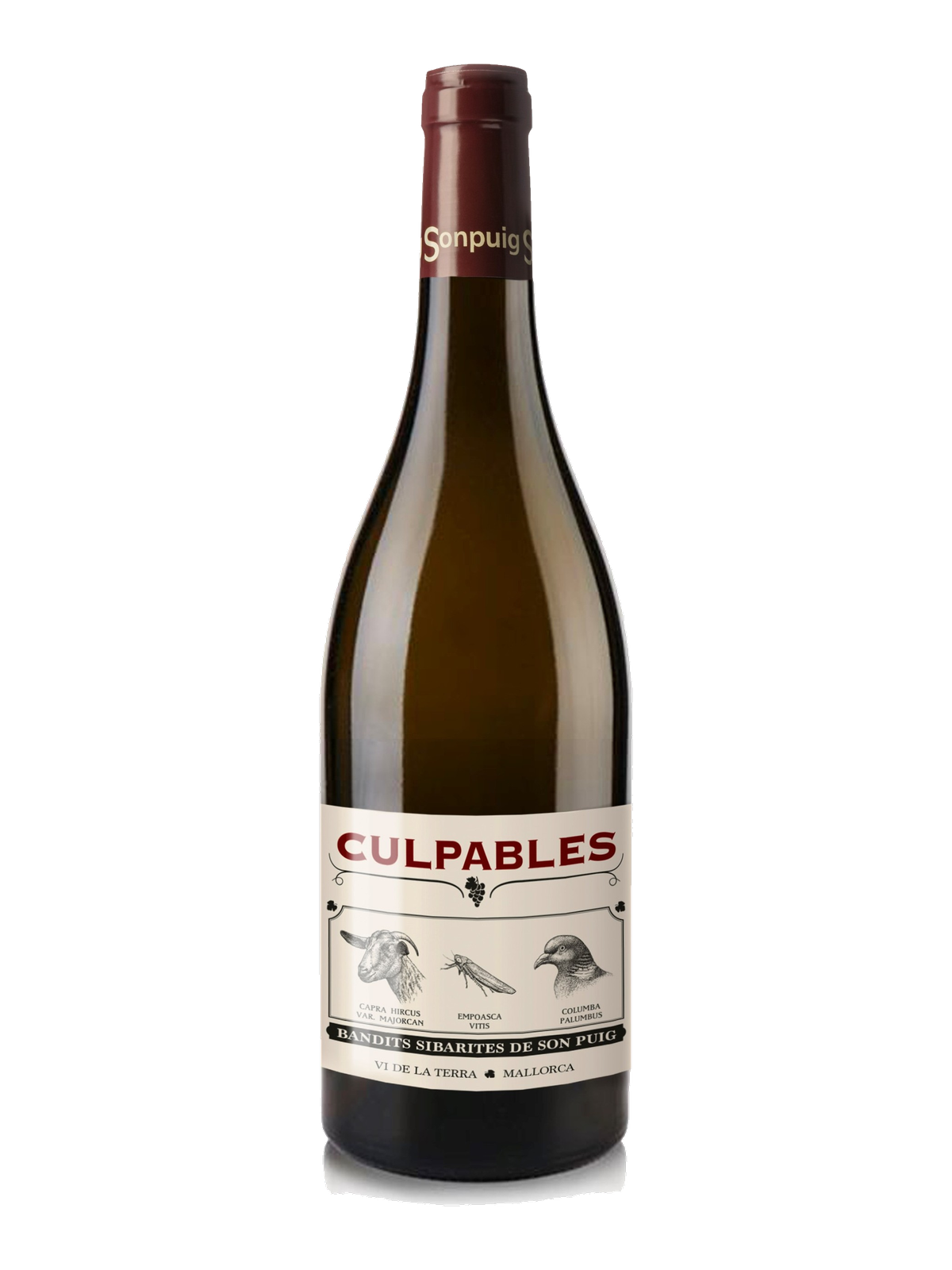 Culpables Negre
