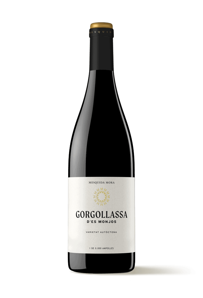 Gorgollassa