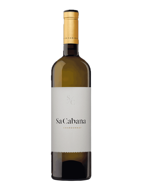 Chardonnay