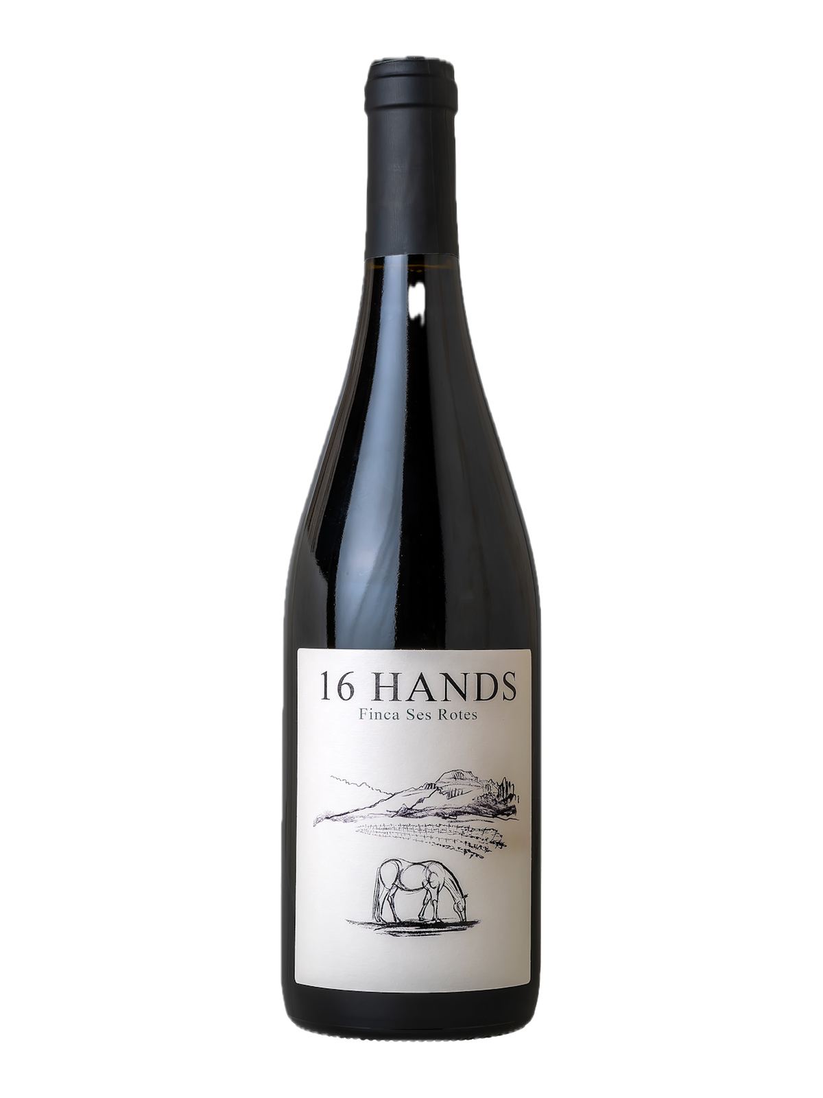 16 Hands Tinto