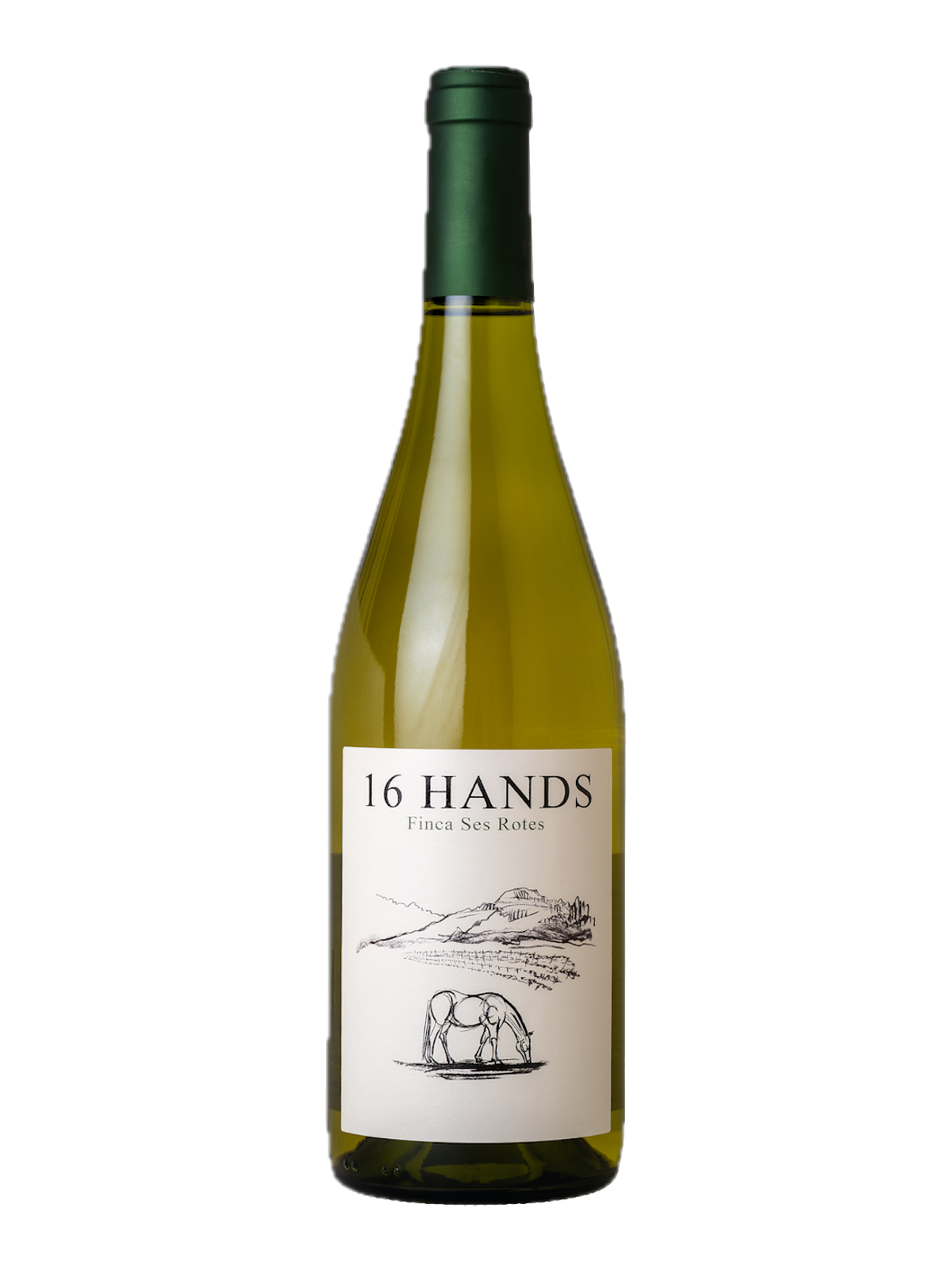 16 Hands Blanco